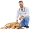 Surte el medicamento